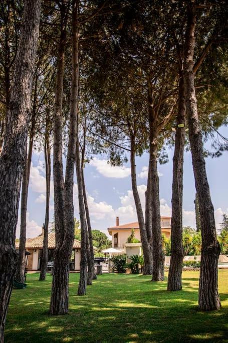 Canicattì Villa Laoconte Piscina, Jacuzzi E Biliardo מראה חיצוני תמונה